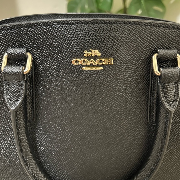 Coach Mini Sage Carryall Bag - Picture 6 of 9